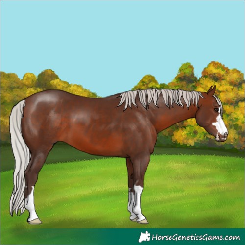 Horse Color:Silver Brown