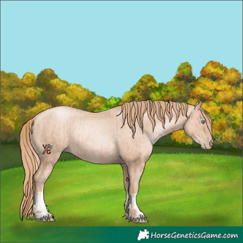Horse Color:Gold Champagne Pearl Rabicano  and Gold Champagne Pearl Rabicano 