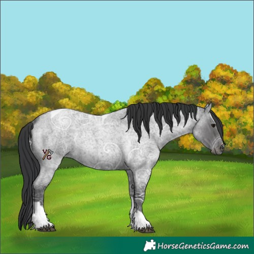 Horse Color:Blue Ice Roan Tobiano Rabicano 