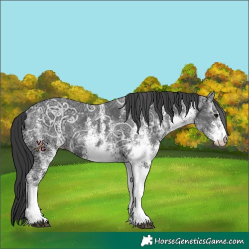 Horse Color:White Spotted Black Ice 