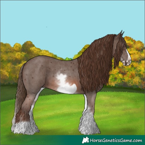 Horse Color:White Spotted Chestnut Sabino Frame 