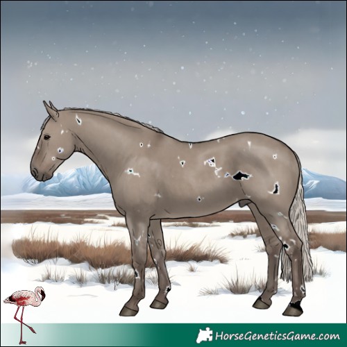 Horse Color:White Spotted Silver Grullo 