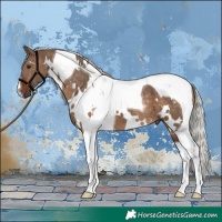 Horse Color:White Spotted Silver Brown Dun Tobiano