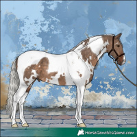 Horse Color:White Spotted Silver Brown Dun Tobiano 