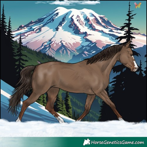 Horse Color:Liver Red Dun
