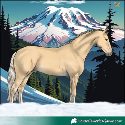 Horse Color:Palomino