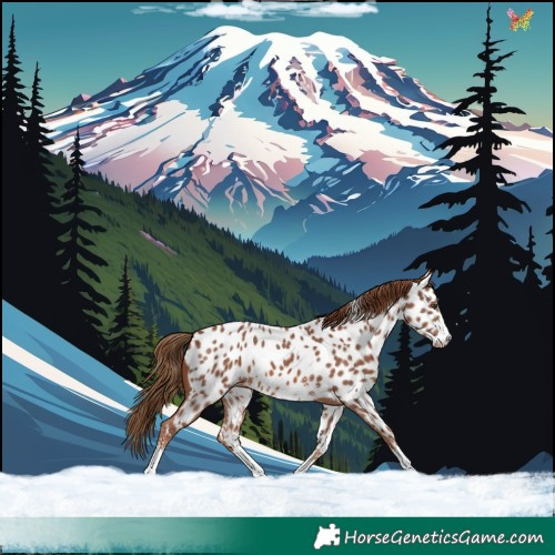 Horse Color:Chestnut Sabino Near Leopard