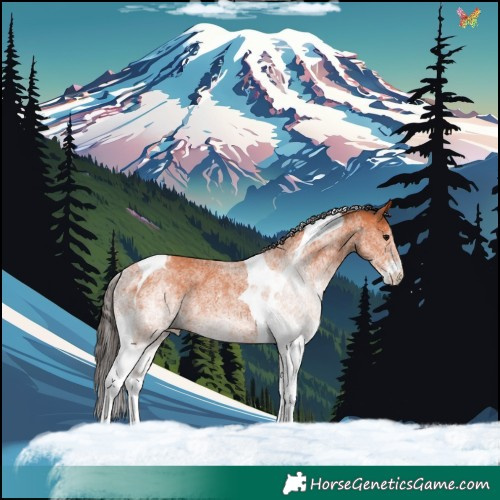 Horse Color:White Spotted Bay Tobiano 