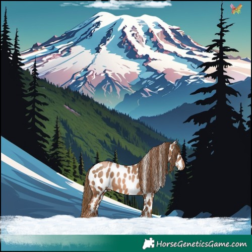 Horse Color:Liver Chestnut Pearl Appaloosa 