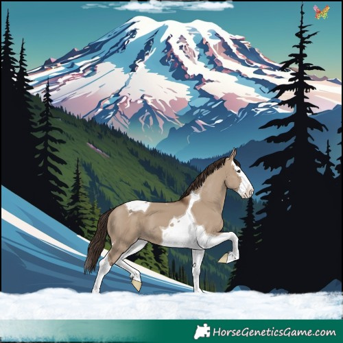 Horse Color:White Spotted Liver Red Dun Splash Tobiano Varnish 