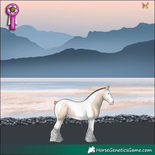 Horse Color:Buckskin Pearl Dun Splash Tobiano 