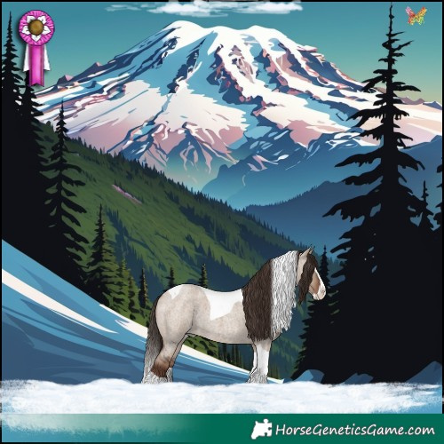 Horse Color:Liver Red Dun Roan Splash Tobiano