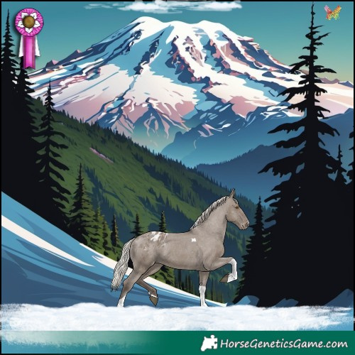 Horse Color:Silver Grullo Tobiano Varnish 