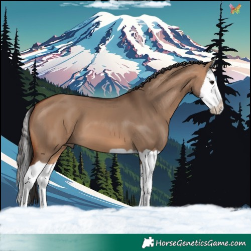 Horse Color:Bay Dun Splash