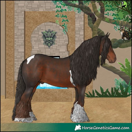 Horse Color:Liver Chestnut Tobiano