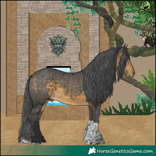 Horse Color:Buckskin Merle Tobiano