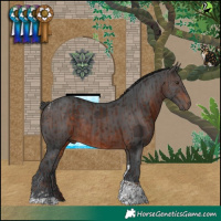 Horse Color:Liver Chestnut Tobiano  and Brown Merle Tobiano 