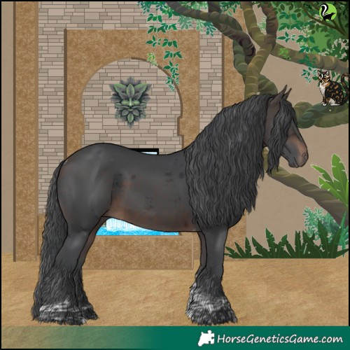 Horse Color:Bay Merle Tobiano
