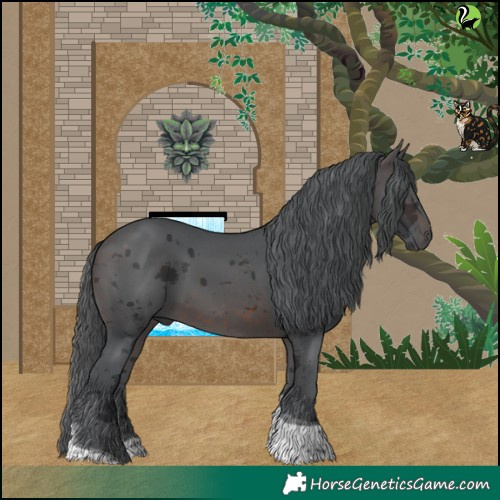 Horse Color:Brown Merle Tobiano