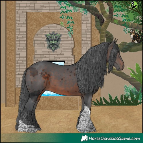 Horse Color:Brown Merle Tobiano 