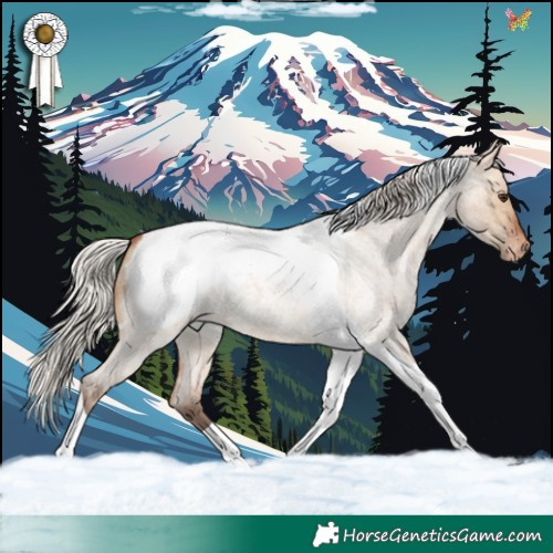 Horse Color:Silver Bay Roan Dun Tobiano Appaloosa