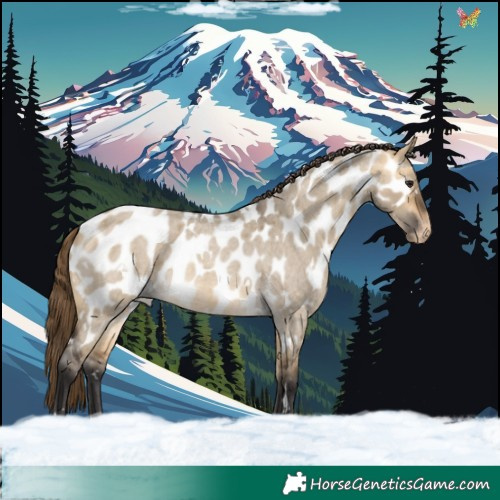 Horse Color:White Spotted Buckskin Roan Dun Appaloosa