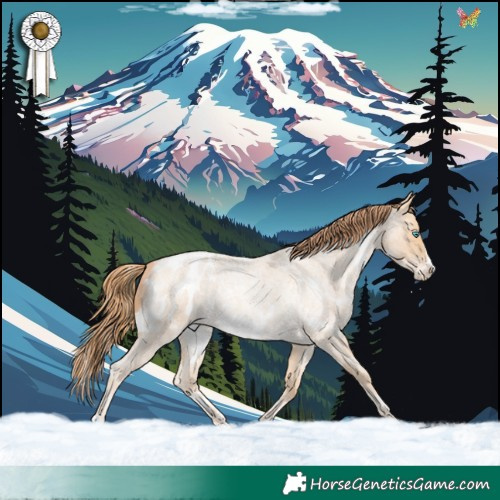 Horse Color:White Spotted Buckskin Roan Pearl Frame Appaloosa 