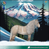 Horse Color:Powder White Silver Grullo 