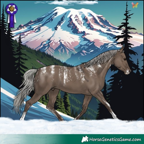 Horse Color:Powder White Silver Grullo 