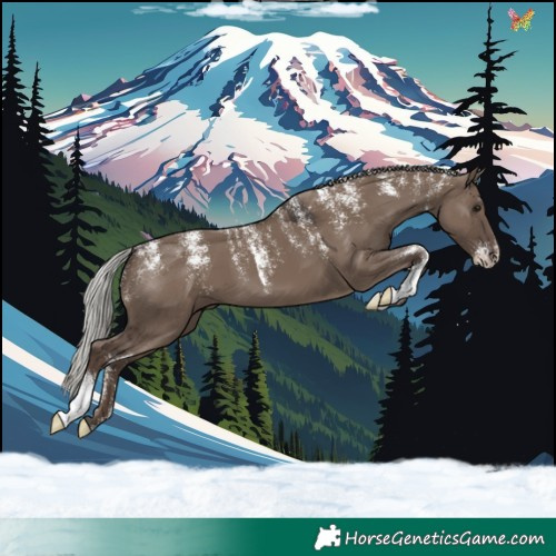 Horse Color:Powder White Silver Grullo 