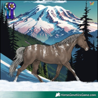 Horse Color:Powder White Silver Grullo 