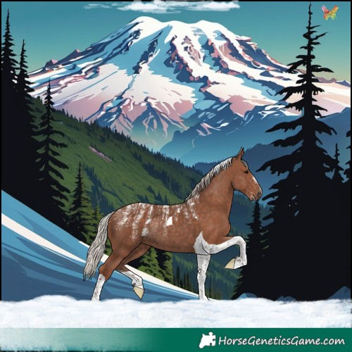 Horse Color:Powder White Silver Black Tobiano Rabicano 
