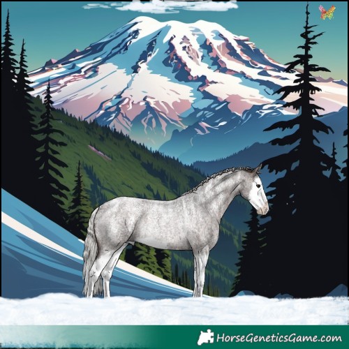 Horse Color:Powder White Silver Brown Roan Splash Rabicano