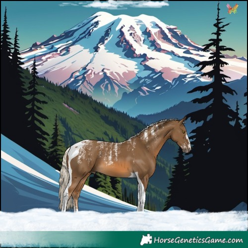 Horse Color:Powder White Chocolate Palomino Tobiano 