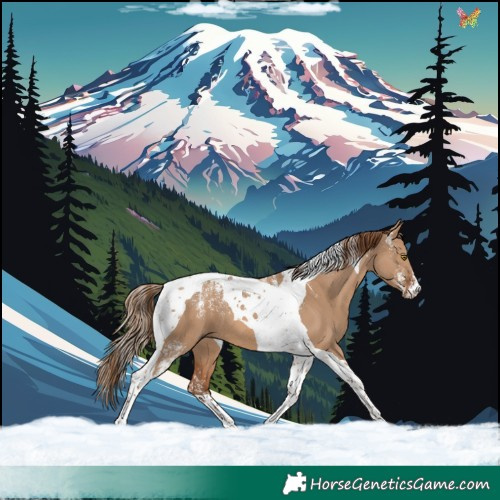 Horse Color:Powder White Red Dun Tobiano