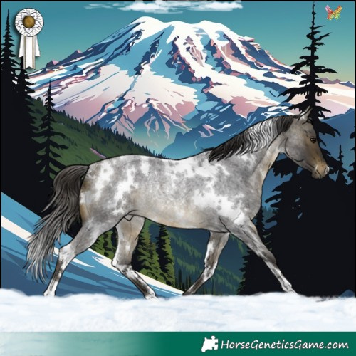 Horse Color:White Spotted Buckskin Roan Rabicano