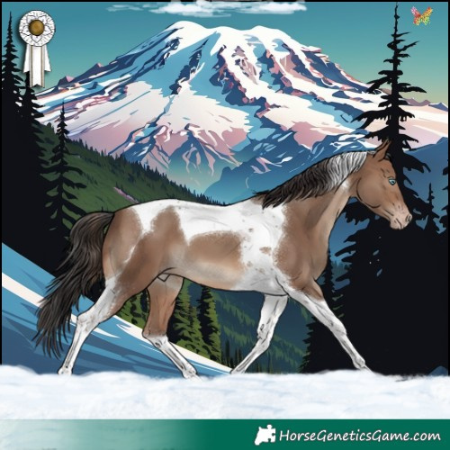 Horse Color:Sable Champagne Tobiano 