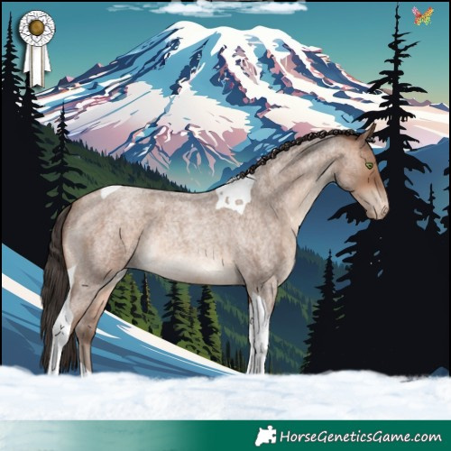 Horse Color:Sable Champagne Roan Tobiano Varnish Rabicano