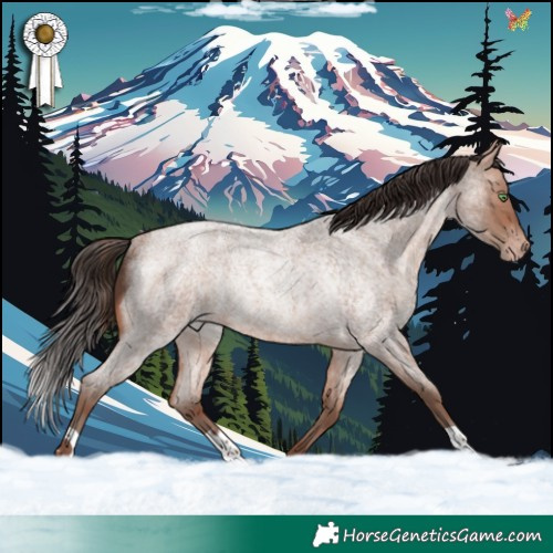 Horse Color:Sable Champagne Roan Rabicano