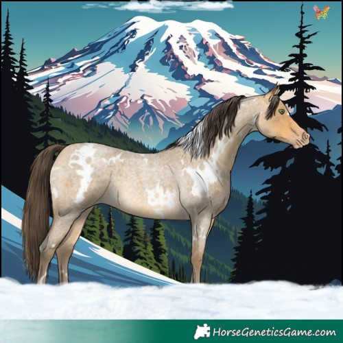 Horse Color:White Spotted Sable Cream Champagne Roan Rabicano 