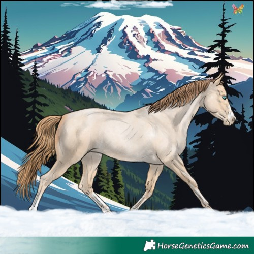 Horse Color:Buckskin Roan Pearl