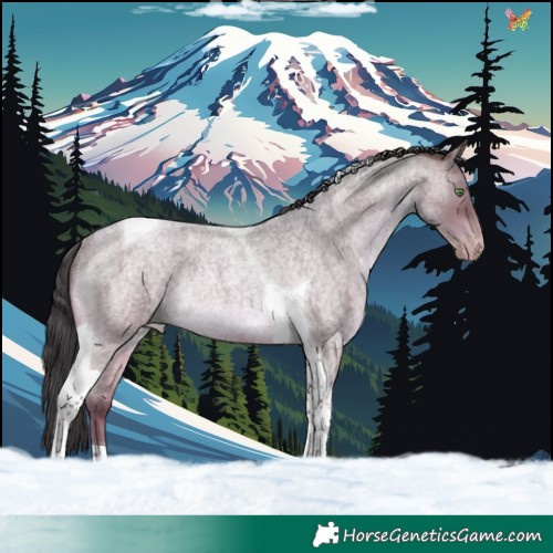 Horse Color:Sable Champagne Roan Tobiano Rabicano