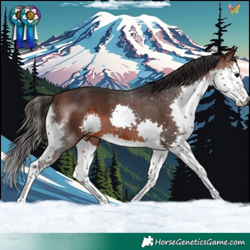 Horse Color:Brown Splash