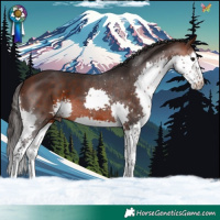 Horse Color:Brown Splash 