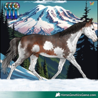 Horse Color:Brown Splash