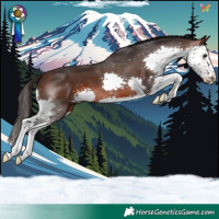 Horse Color:Brown Splash 