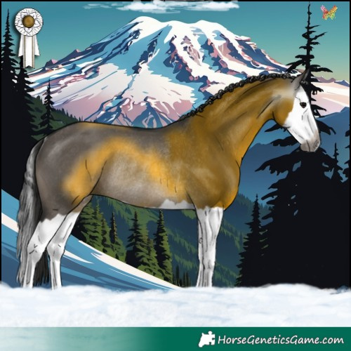 Horse Color:Gray Grullo Splash Rabicano