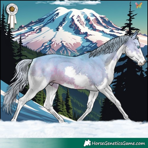 Horse Color:Watercolor Silver Buckskin Dun Splash Rabicano