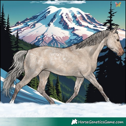 Horse Color:Silver Brown Ice Dun Rabicano 