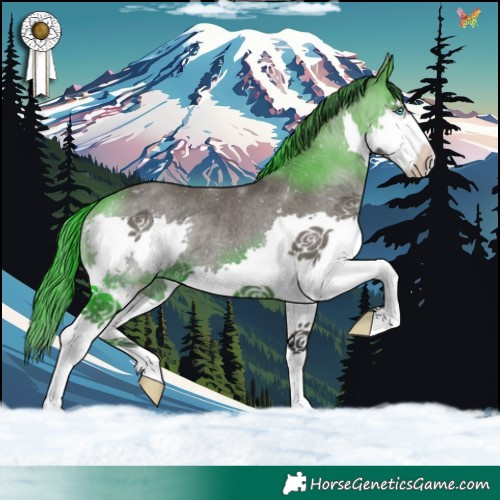 Horse Color:Grullo Splash Rabicano 